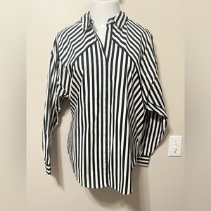 Express Boyfriend Poplin button down